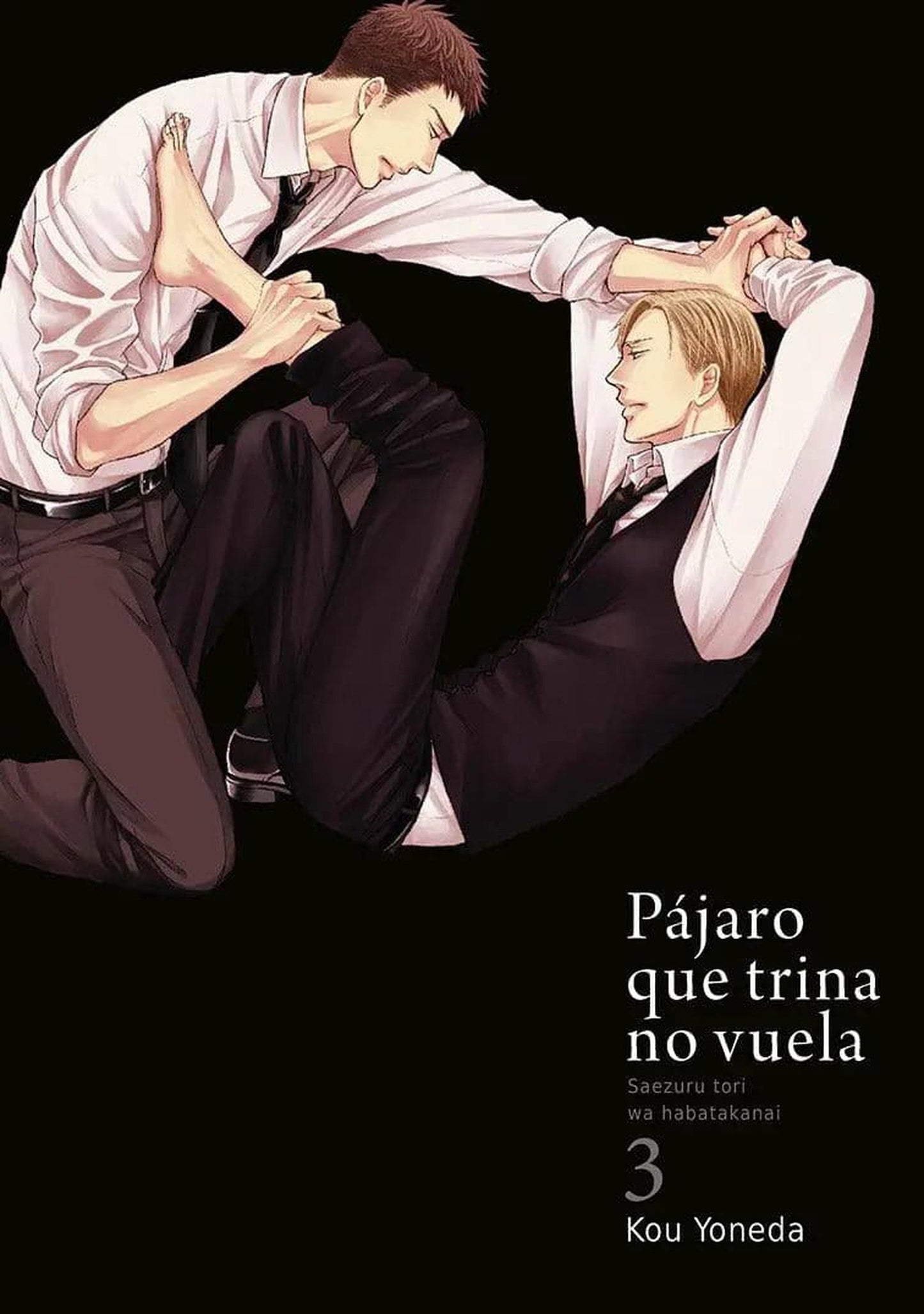 Pájaro Que Trina No Vuela, Vol. 3 de Kou Yoneda