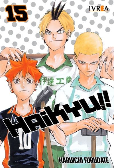 Haikyu!! 15 - Ivrea Argentina