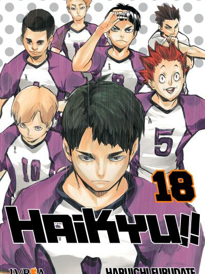 Haikyu!! 18 -  Ivrea Argentina