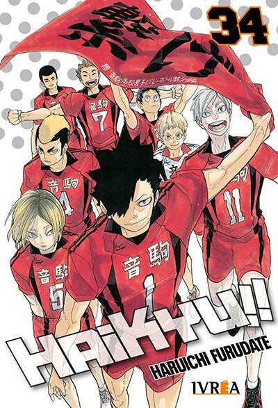 HAIKYU!! 34 Ivrea Argentina ENcuadrocomics