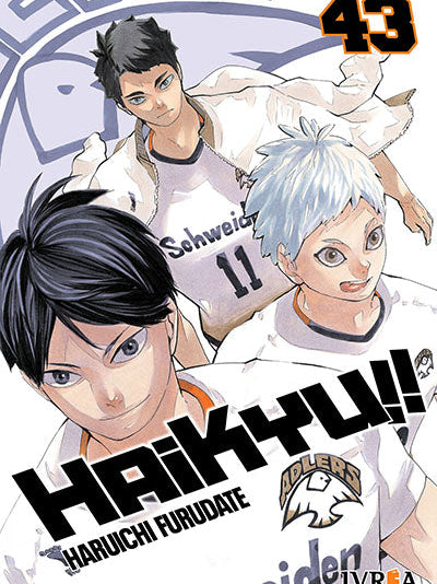 HAIKYU!! 43 Ivrea Argentina ENcuadrocomics