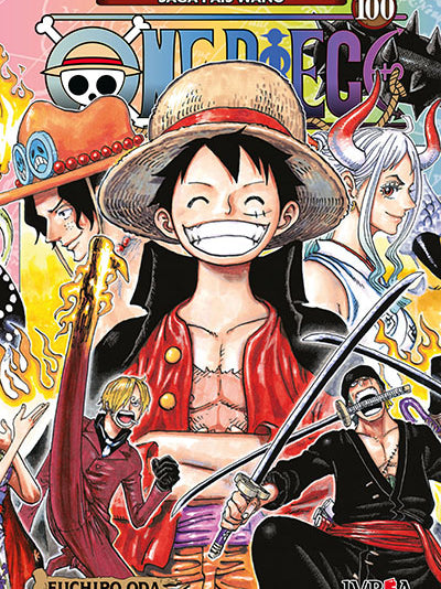 ONE PIECE 100