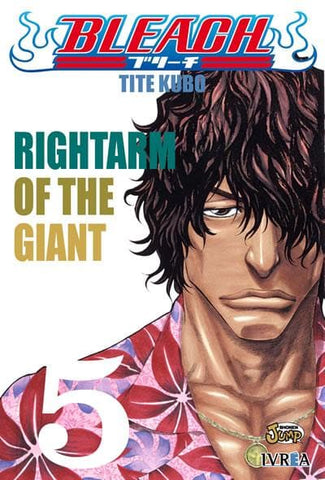 Bleach 05 Ivrea Argentina ENcuadrocomics
