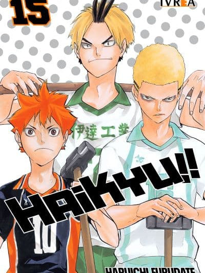 Haikyu!! 15 -  Ivrea Argentina